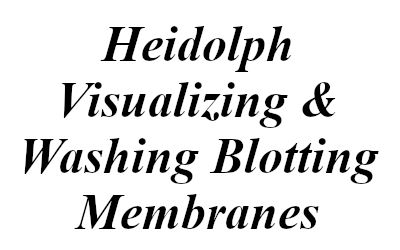 visualizing and washing blotting membranes